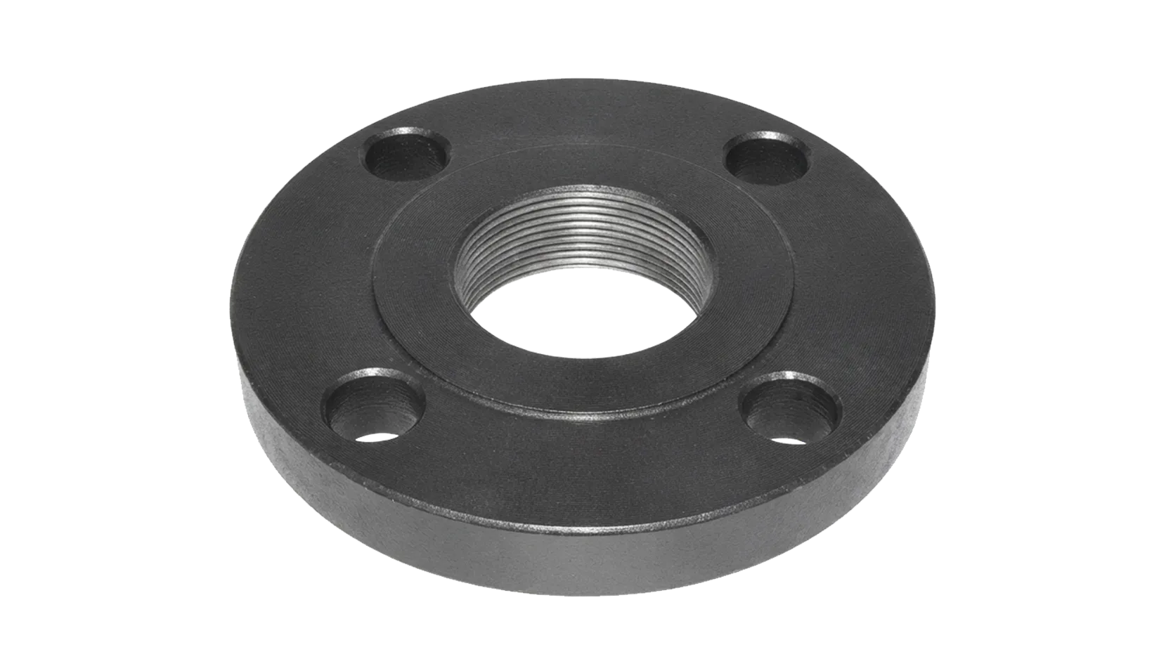 Hastelloy C276 Companion Flanges